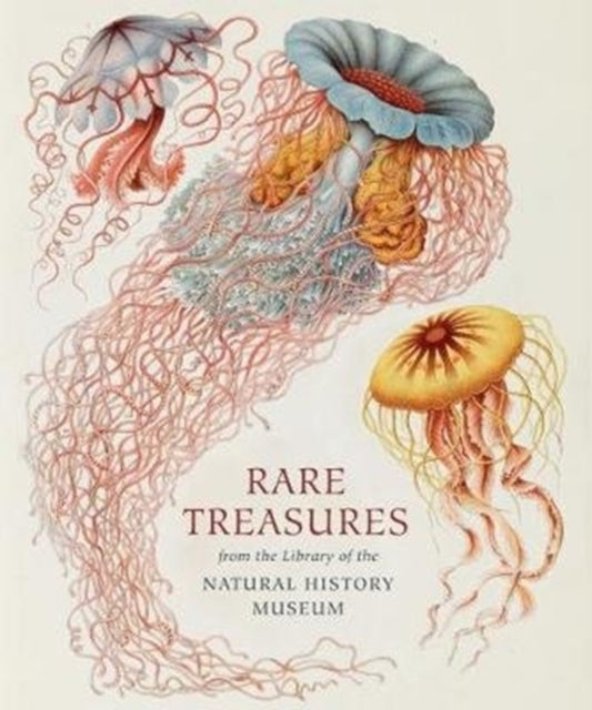 Book cover of: Rare Treasures. By: Judith Magee