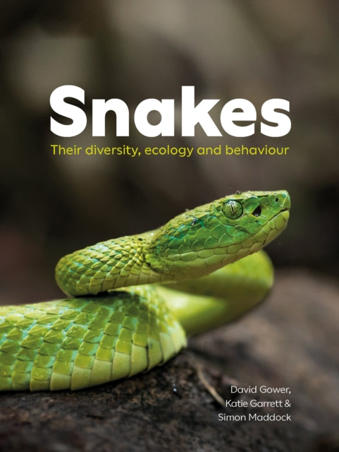 Book cover of: Snakes. By: David Gower