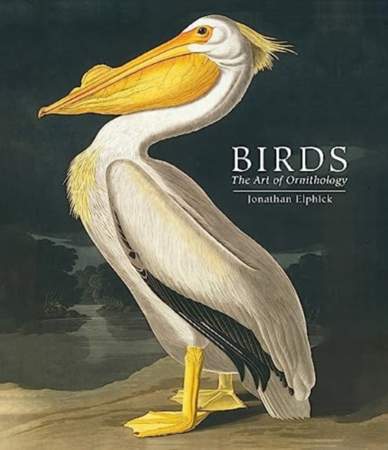 Book cover of: Birds