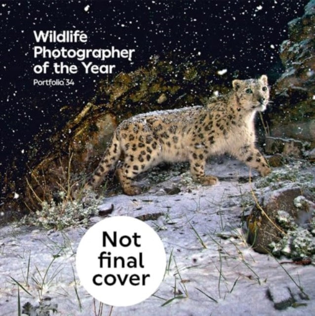 Wildlife Photographer of the Year: Portfolio 34 9780565095642 Keith Wilson