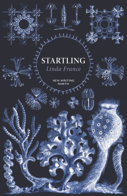 Book cover of: Startling. By: FRANCE L