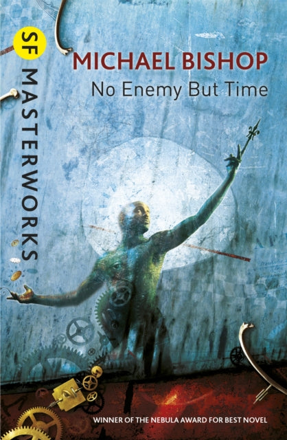 Book cover of: No Enemy But Time. By: Evelyn Wilde Mayerson