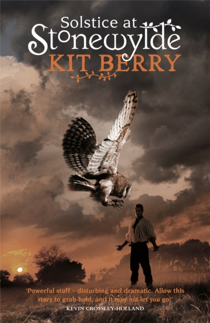 Book cover of: Solstice at Stonewylde. By: Kit Berry