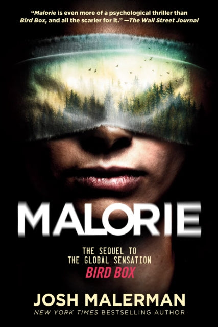 Book cover of: Malorie. By: Josh Malerman