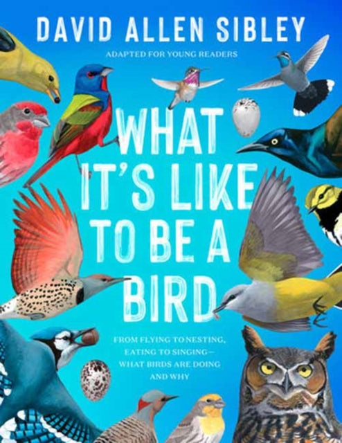 Book cover of: What It's Like to Be a Bird (Adapted for Young Readers). By: David Sibley