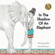 Book cover of: In the Shadow of an Elephant. By: Georgie Donaghey