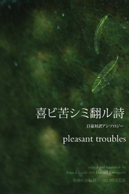 Book cover of: pleasant troubles