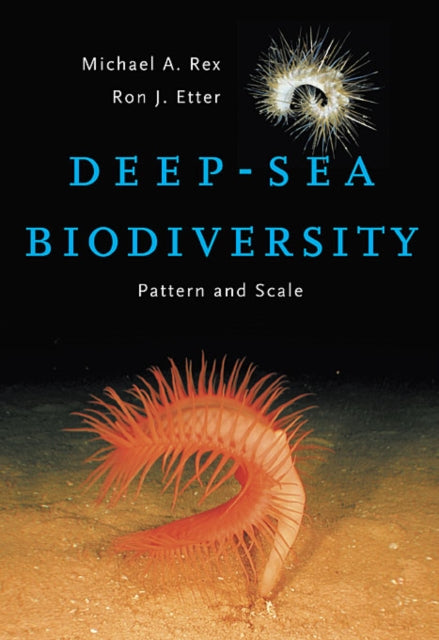 Book cover of: Deep-Sea Biodiversity. By: Michael A. Rex