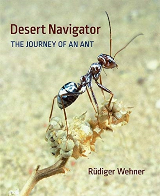 Book cover of: Desert Navigator. By: Rüdiger Wehner