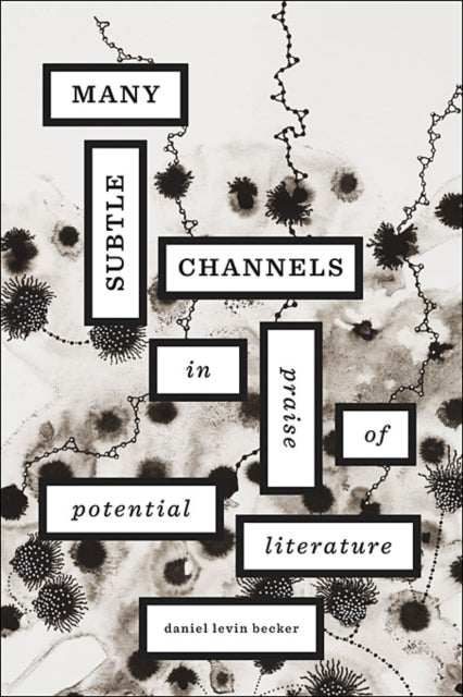 Book cover of: Many Subtle Channels. By: Daniel Levin Becker