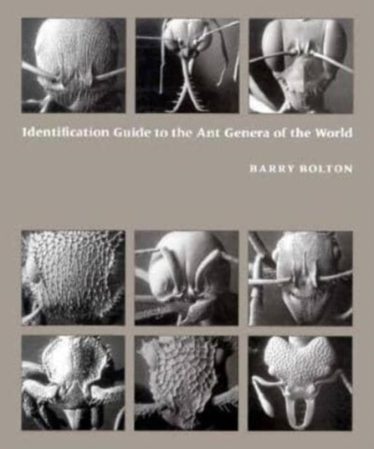 Book cover of: Identification Guide to the Ant Genera of the World