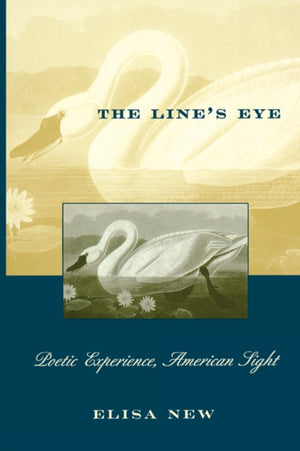 Line’s Eye