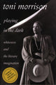 Book cover of: Playing in the Dark