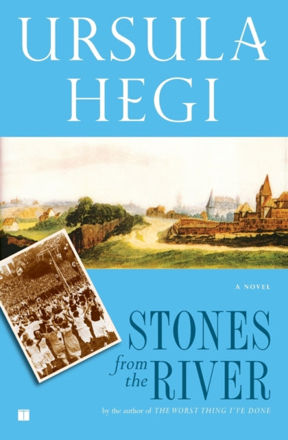 Book cover of: Stones from the River