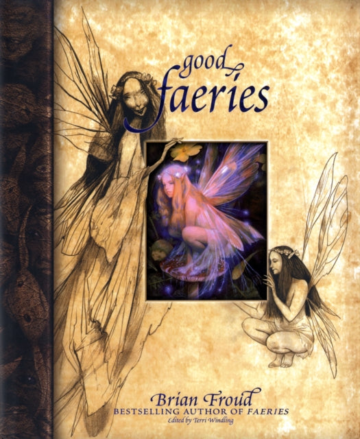 Book cover of: Good Faeries