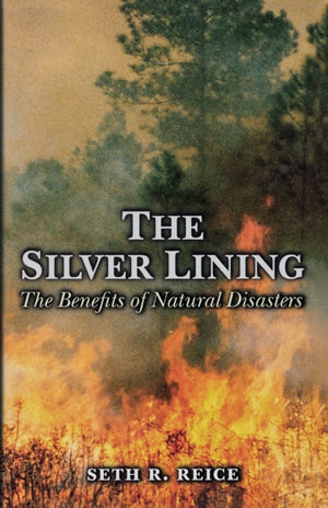 Silver Lining