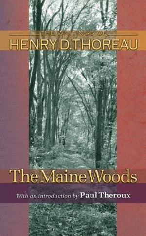 Maine Woods