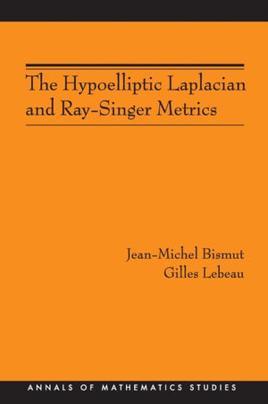 Hypoelliptic Laplacian and Ray-Singer Metrics