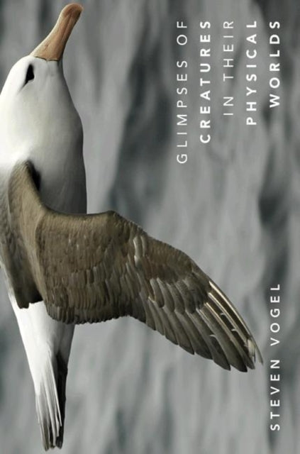 Book cover of: Glimpses of Creatures in Their Physical Worlds. By: Vogel, Steven