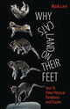 Book cover of: Why Cats Land on Their Feet. By: Mark Levi