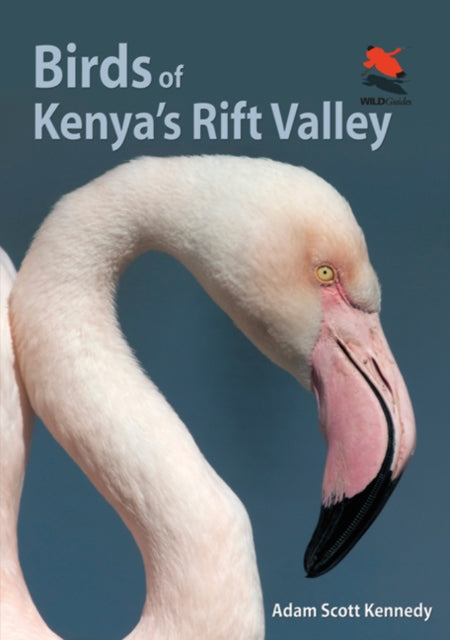 Book cover of: Birds of Kenya's Rift Valley