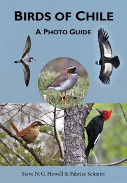 Book cover of: Birds of Chile. By: Steve N. G. Howell