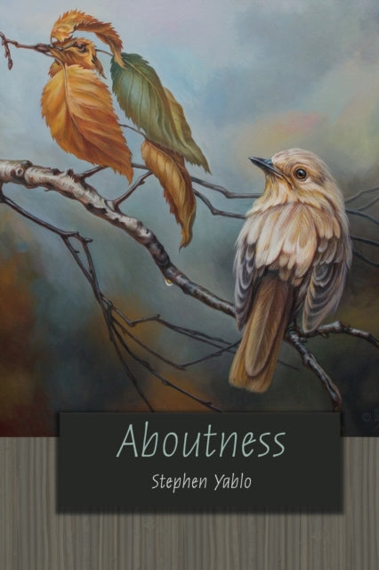 Book cover of: Aboutness. By: Stephen Yablo