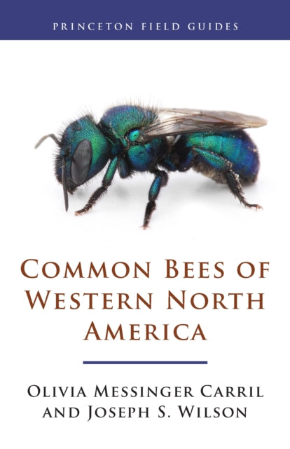 Book cover of: Common Bees of Western North America. By: Olivia Messinger Carril
