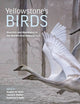 Book cover of: Yellowstone’s Birds. By: Douglas W. Smith
