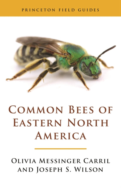 Book cover of: Common Bees of Eastern North America. By: Prescott