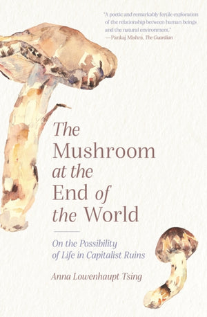 Mushroom at the End of the World, On the Possibility of Life in Capitalist Ruins