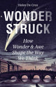 Book cover of: Wonderstruck