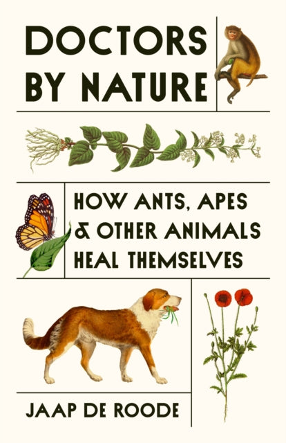 Doctors by Nature, How Ants, Apes, and Other Animals Heal Themselves 9780691239248 Jaap de Roode