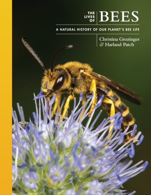 Book cover of: Lives of Bees. By: Harland Patch