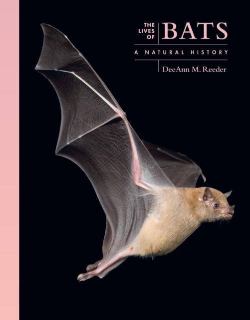 Book cover of: Lives of Bats