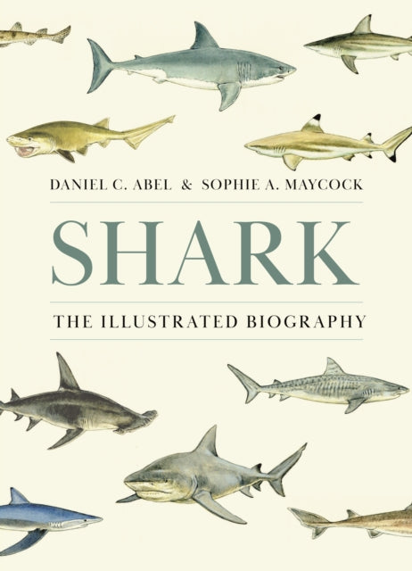 Book cover of: Shark