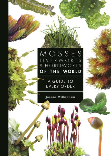 Book cover of: Mosses, Liverworts, and Hornworts of the World