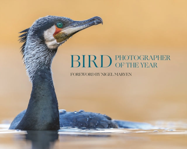 Bird Photographer of the Year, Collection 10 9780691278674 Bird Photographer of the Year Limited