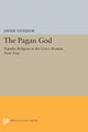 Book cover of: Pagan God. By: Javier Teixidor