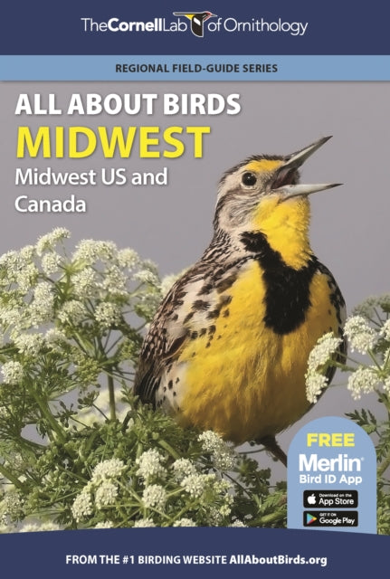 Book cover of: All About Birds Midwest. By: Cornell Lab of Ornithology
