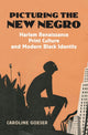 Book cover of: Picturing the New Negro. By: Caroline Goeser