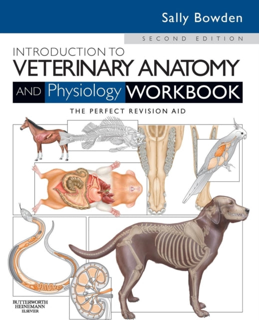 Book cover of: Introduction to Veterinary Anatomy and Physiology Workbook