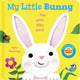 My Little Bunny