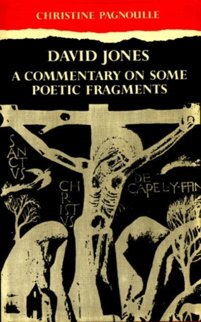 Book cover of: David Jones