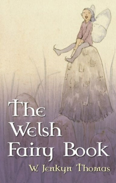 Book cover of: Welsh Fairy Book