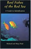 Reef Fish Of The Red Sea
