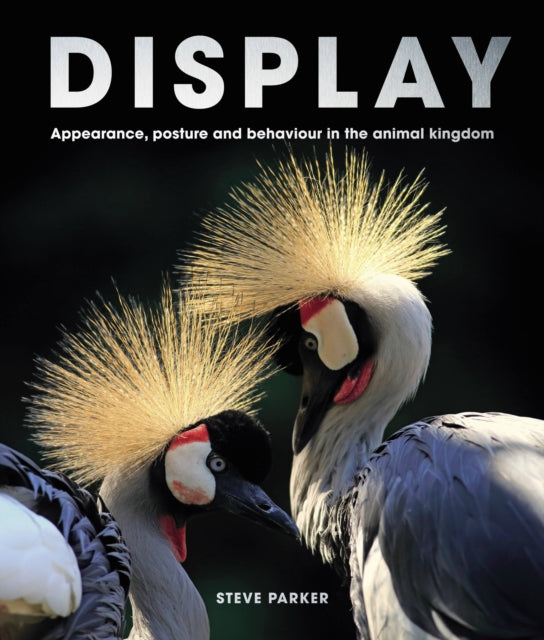 Book cover of: Display. By: Steve Parker