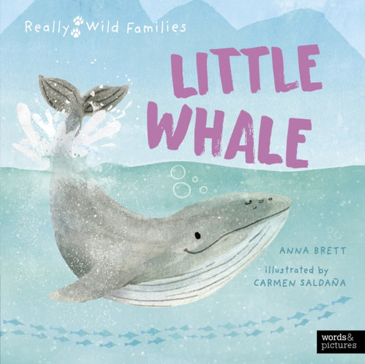 Book cover of: Little Whale. By: BRETT, ANNA