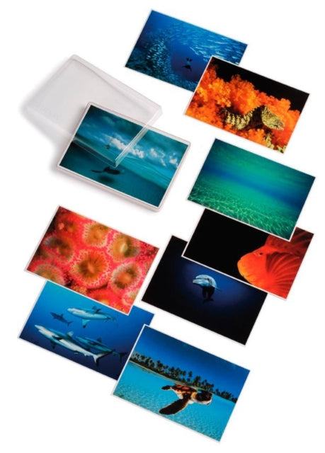 Book cover of: David Doubilet; Water Light Time Postcards