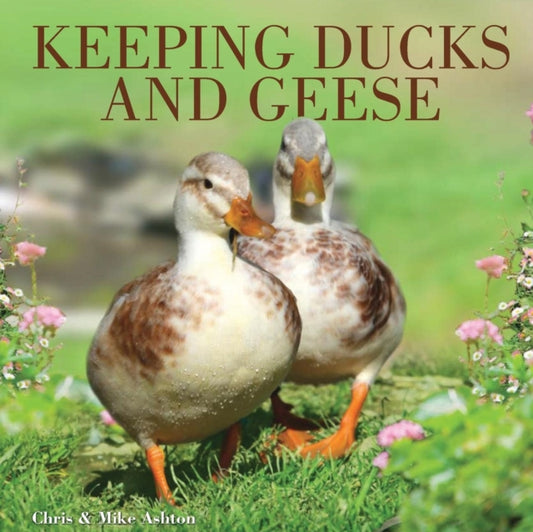 Book cover of: Keeping Ducks and Geese. By: Chris Ashton